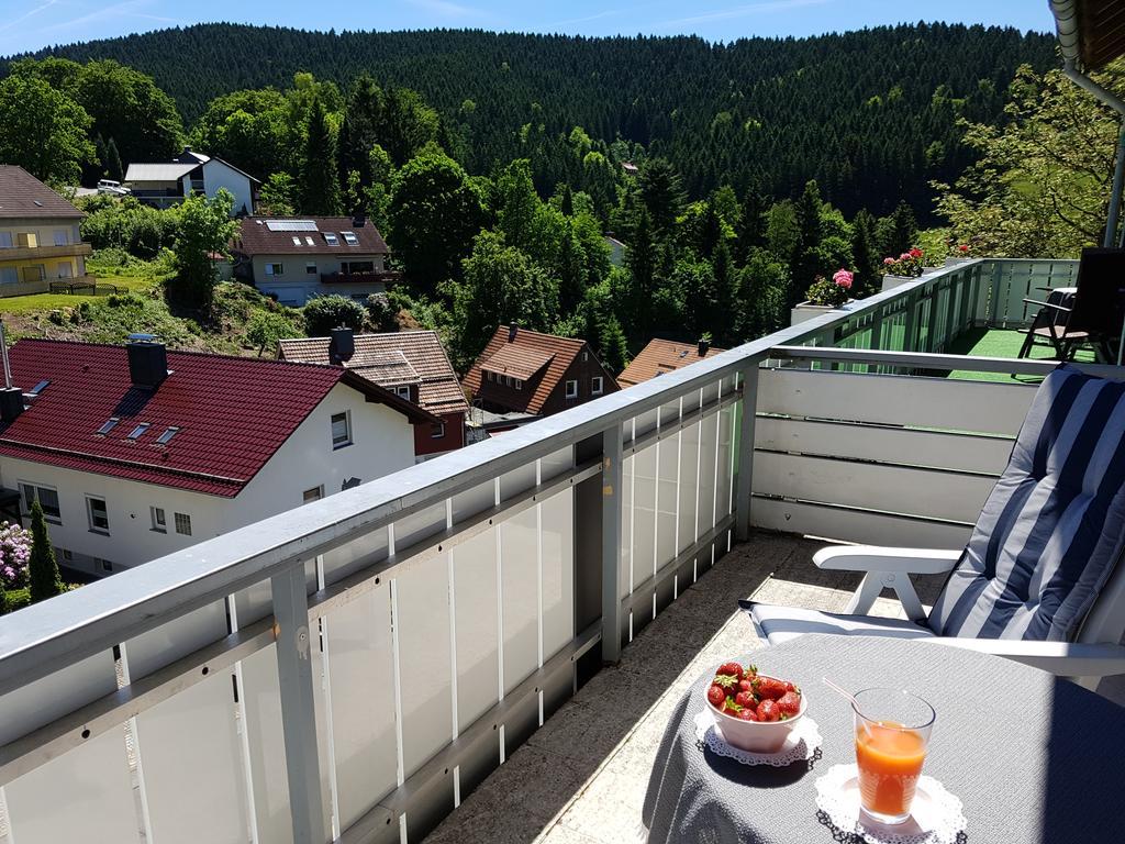 Hotel Pension Jaegerstieg Bad Grund Extérieur photo